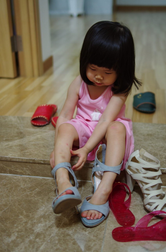 [사진] 인형들..