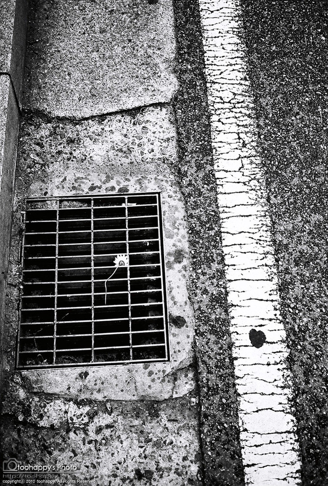 [출사공지1] 이번주 일요일(11/13)에 사진 같이 찍어요~