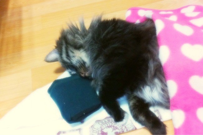 [모던3] 모두가 한맘이 되어서...