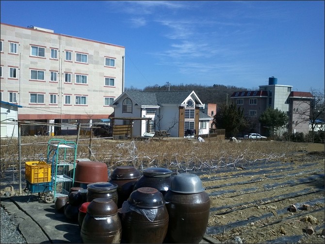 [영남대본관] 뒷편의 까치둥지 식당