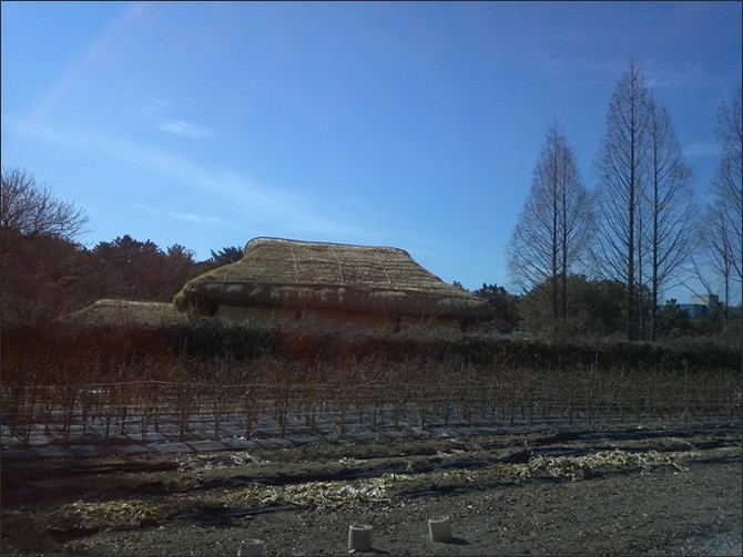 [영남대본관] 뒷편의 까치둥지 식당