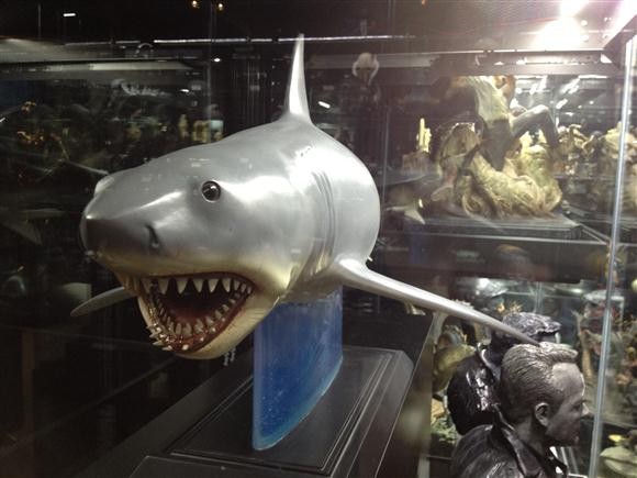 [방문기] 경산 시네마카페/레스토랑 CW 방문기(?)