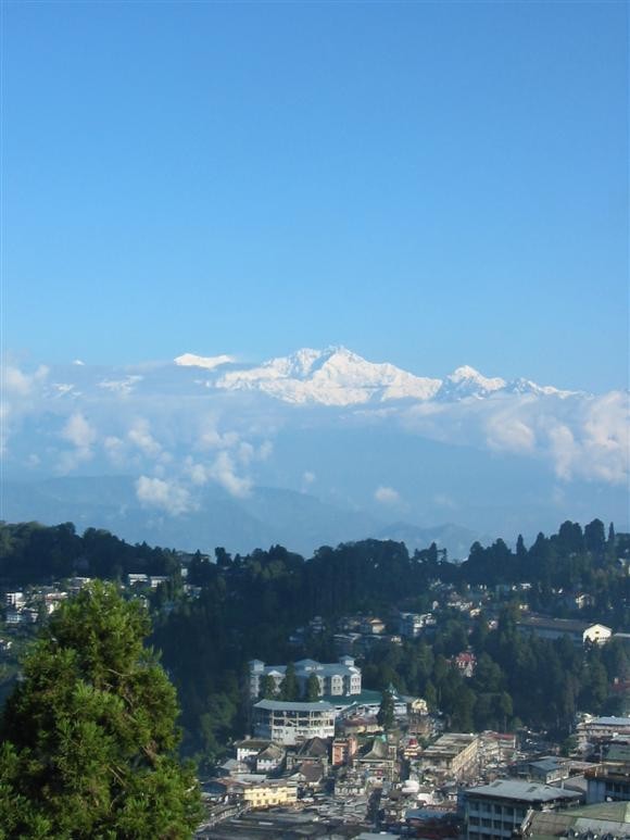 [인증샷] 제가 이렇게 변했더군요.(껄껄)