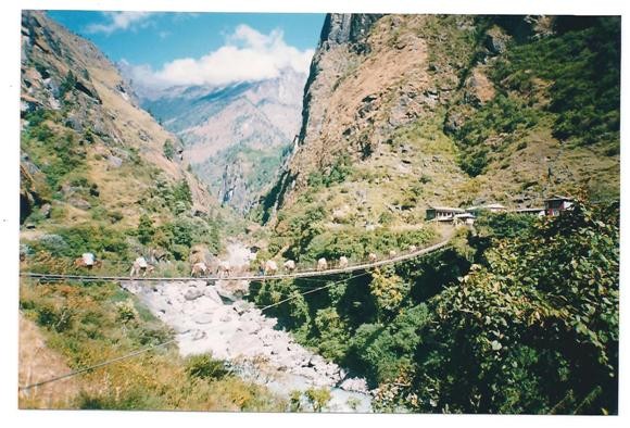 [인증샷] 제가 이렇게 변했더군요.(껄껄)