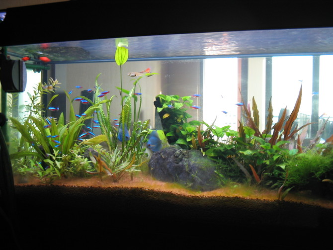 [잡담] 모두 행복한 연말 연시 보내세요