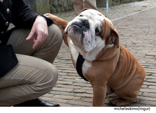 [어느] 부부의 대화 - 지르고 싶어?