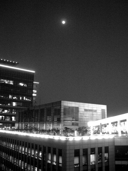 [사진] 에센형님 가방모찌의 출사 후기