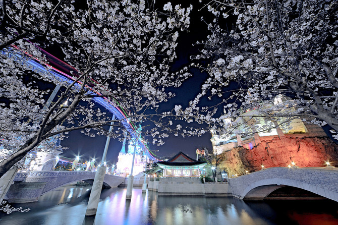 [사진] 아까 무료로 받은 사진프로그램을 사용해봤습니다.