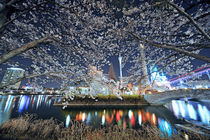 [사진] 아까 무료로 받은 사진프로그램을 사용해봤습니다.