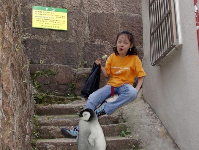 [함수당] 설리 합성사진