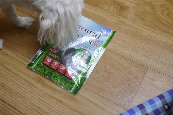 [멍멍당] 간식줘