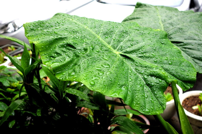 [사진] 비오는 날이라서...