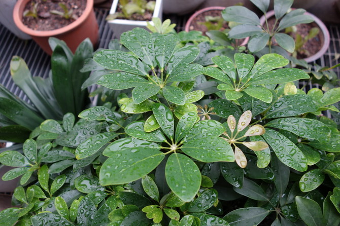 [사진] 비오는 날이라서...