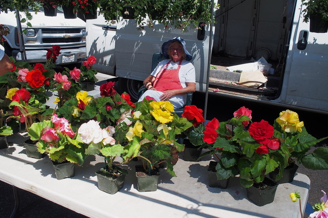 [사진] 덴마크 민속촌... 솔뱅~