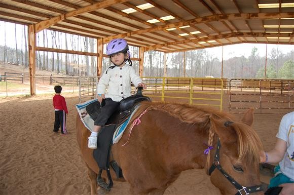 [사진] 버림받은 말들의 쉼터 이야기