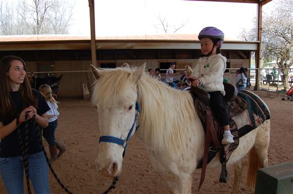 [사진] 버림받은 말들의 쉼터 이야기