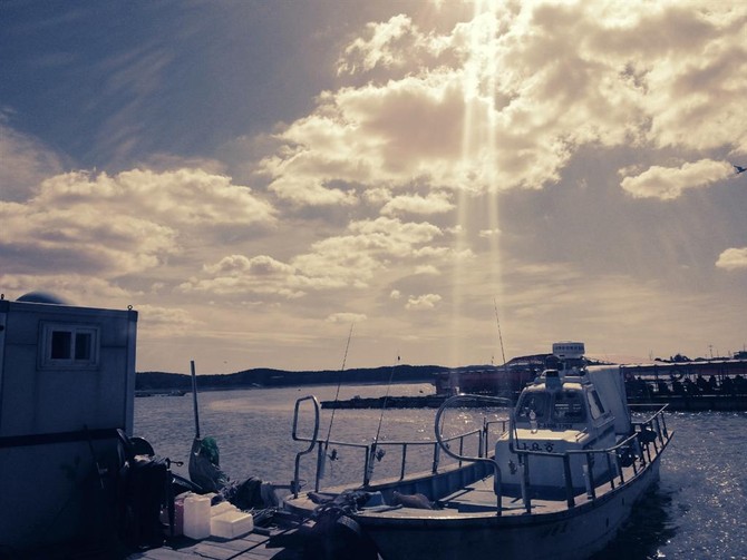 [여행] 태안 앞바다 입니다.^^