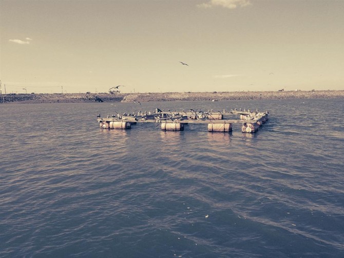 [여행] 태안 앞바다 입니다.^^