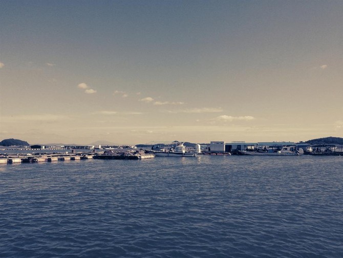 [여행] 태안 앞바다 입니다.^^