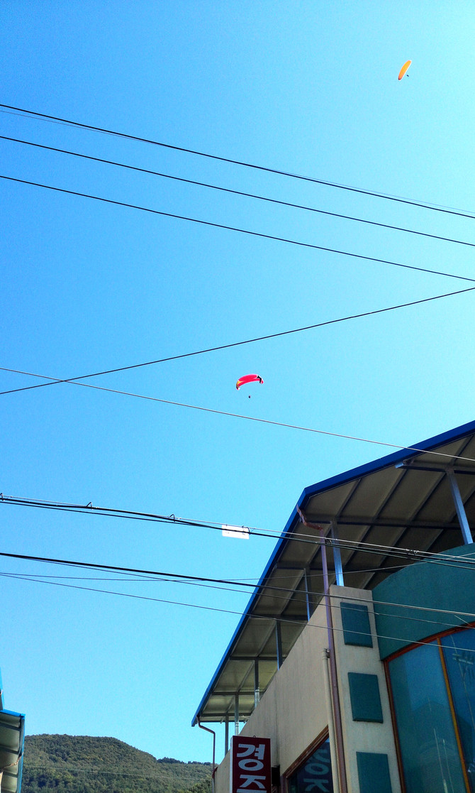 [DPⓐ] 견지낚시 체험왔어요..^^