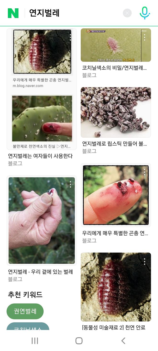 딸기우유의 색소를 연지벌레에서 만들어내고 있었나 보네요 - DPrime