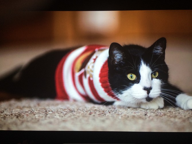 [간단사용기] 소니hw50es&amp;#45&amp;#45->vw500es로 변경