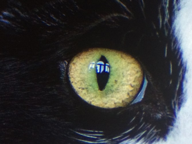 [간단사용기] 소니hw50es&amp;#45&amp;#45->vw500es로 변경