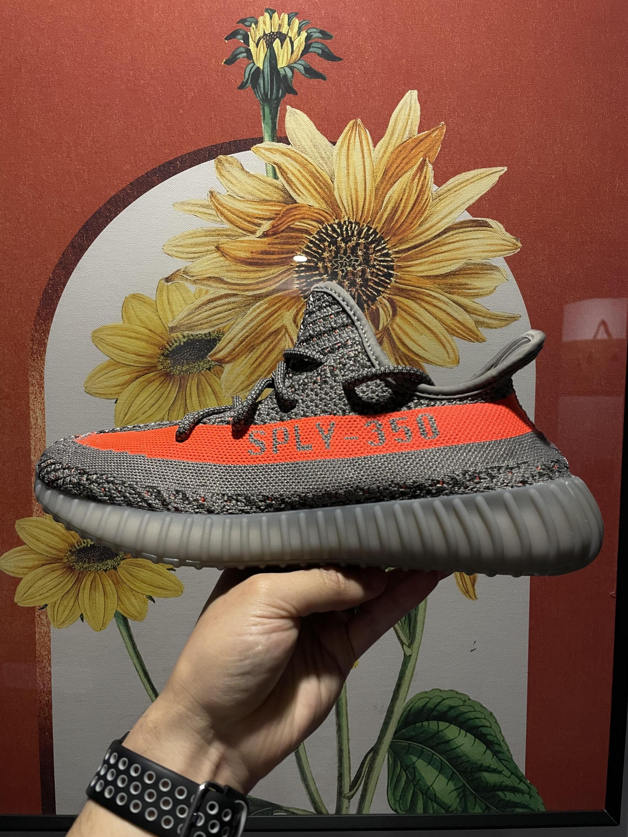 Yeezy 350 벨루가 리플렉티브 (사진주의) - 풋셀 커뮤니티