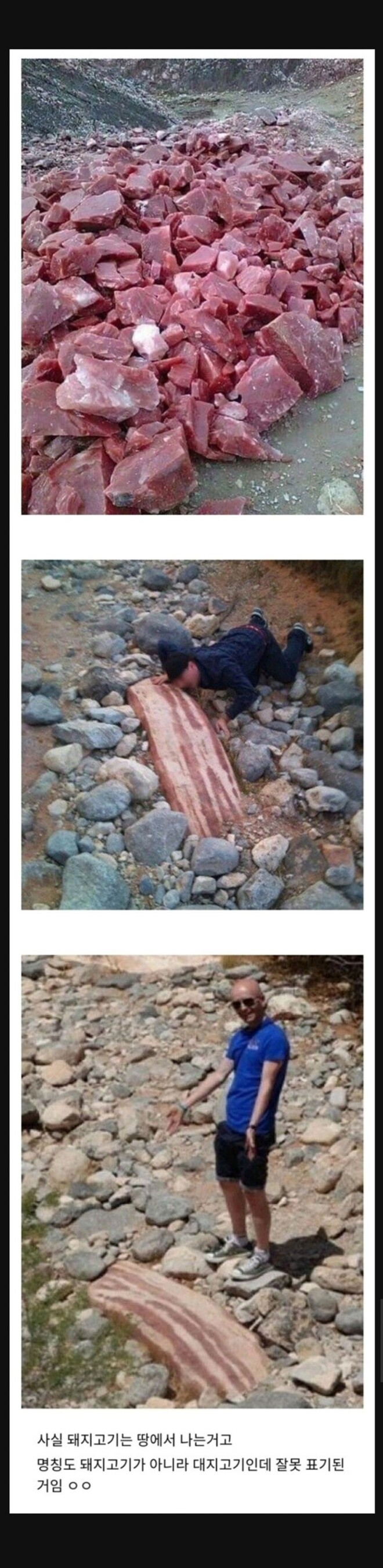 돼지고기가 비싼 이유