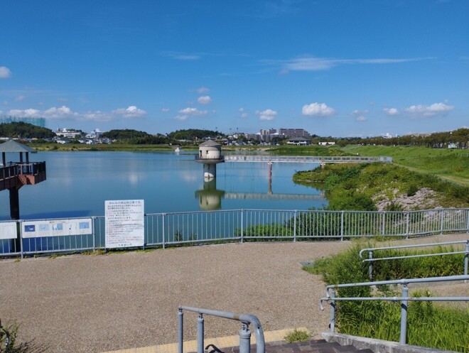 안도 다다오 건축물의 관람객 동선 - 사야마 이케 박물관