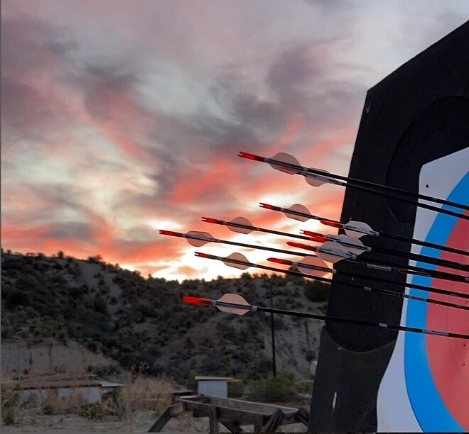 낭만 넘치는 브래디 앨리슨의 양궁 연습장