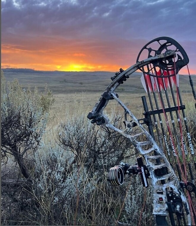 낭만 넘치는 브래디 앨리슨의 양궁 연습장