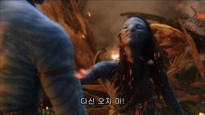 남자에게 차가 중요한 이유