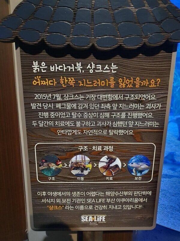 부산에서 샹크스라고 불리는.jpg