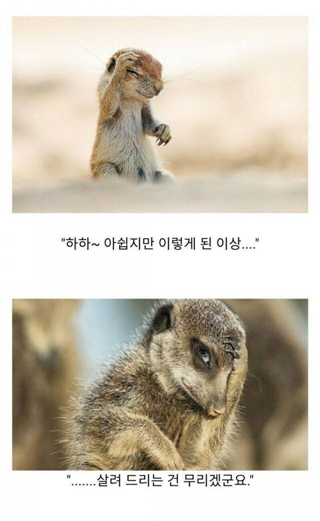 악역 실눈캐