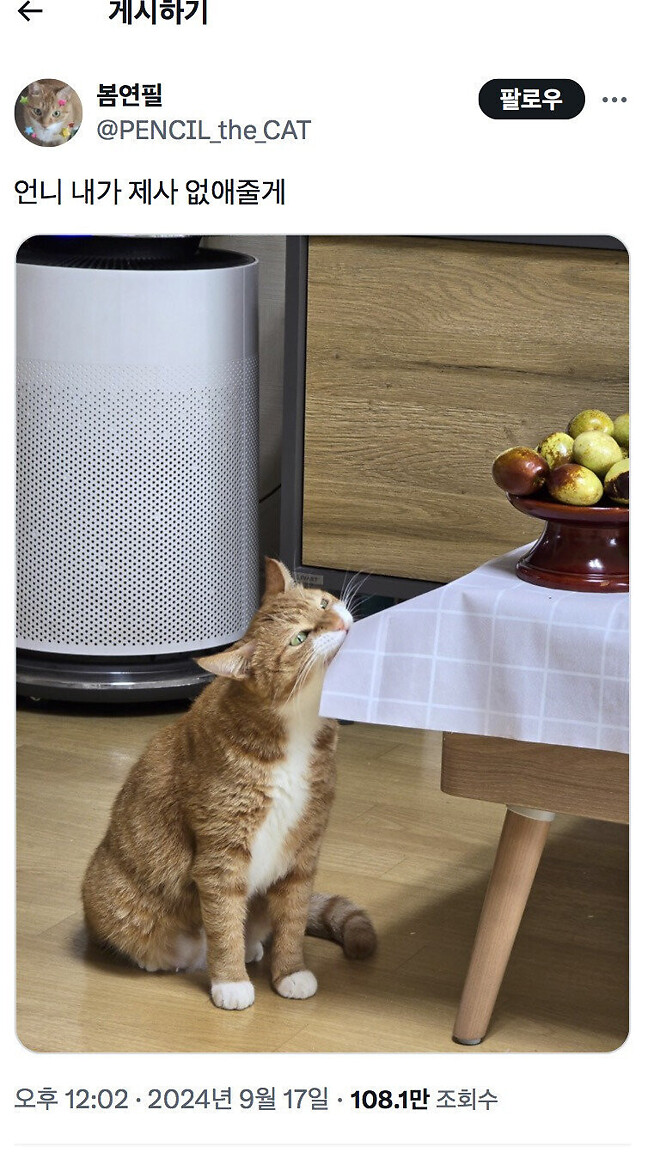 ??: 언니 내가 지긋지긋한 제사 없애줄게