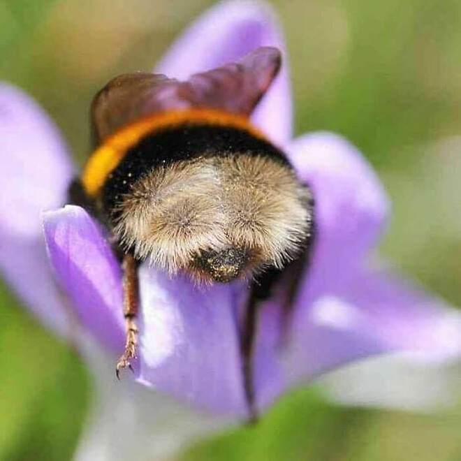 키가 작은 베스킨라빈스 알바녀의 고충