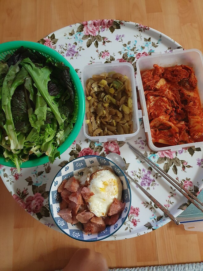 매니아인의 저속노화 식단jpg