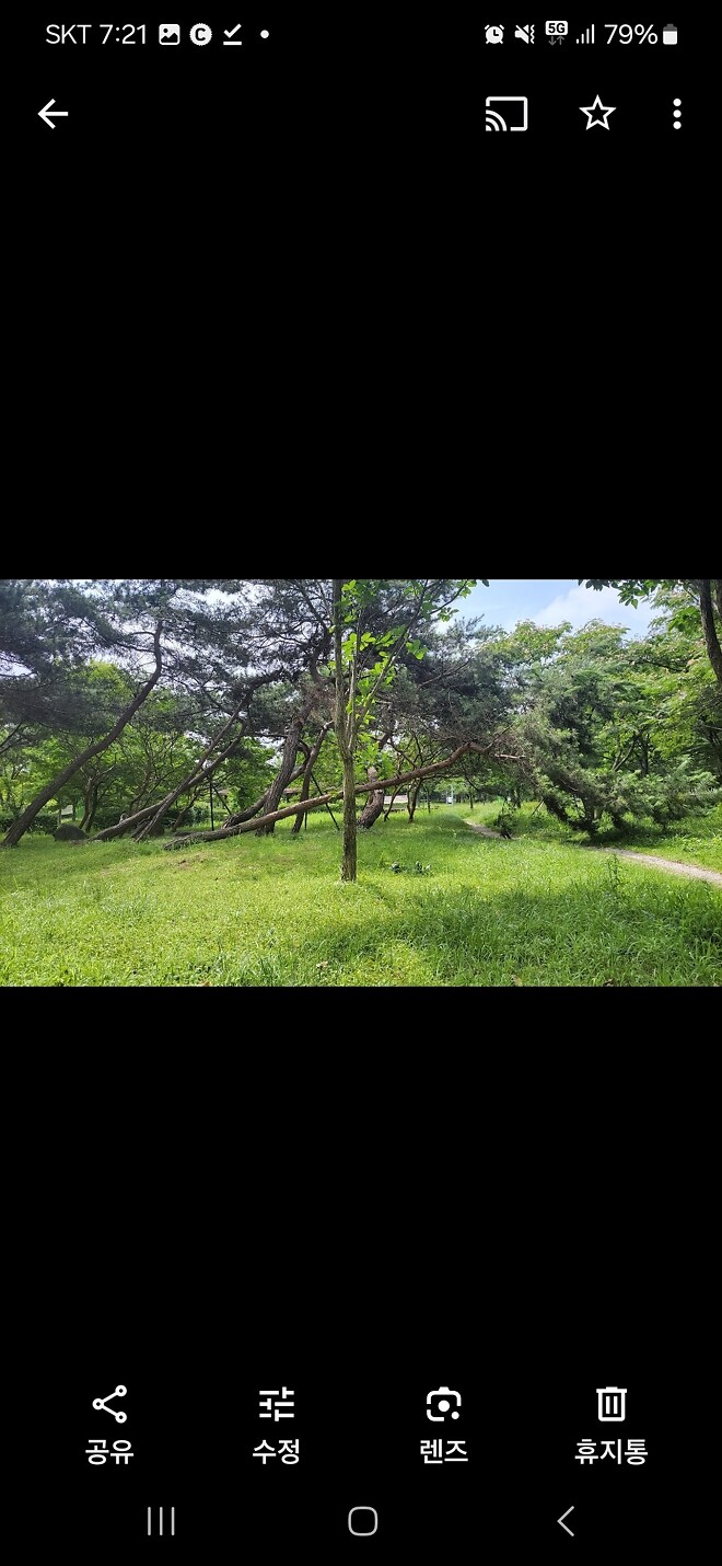 태풍오기전 위험한 지역은 미리신고하세여