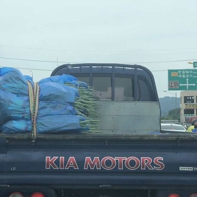 &ldquo;좌파만 우글거리고 우파는 싹다 숨었네&rdquo;