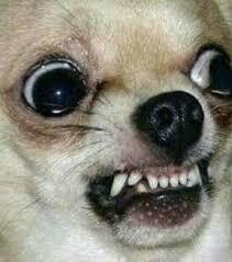 화장실 간 사이에 지갑에 손 댐