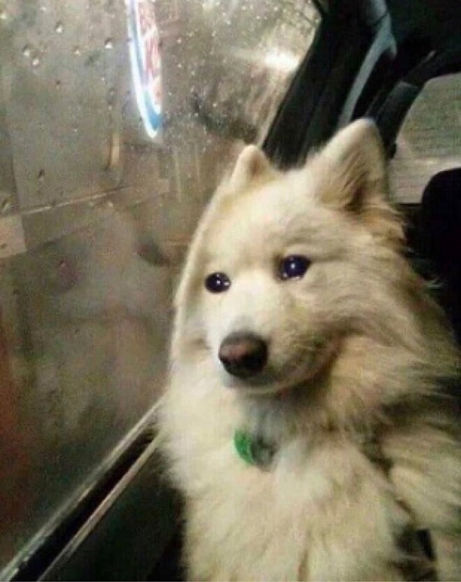 화장실 간 사이에 지갑에 손 댐