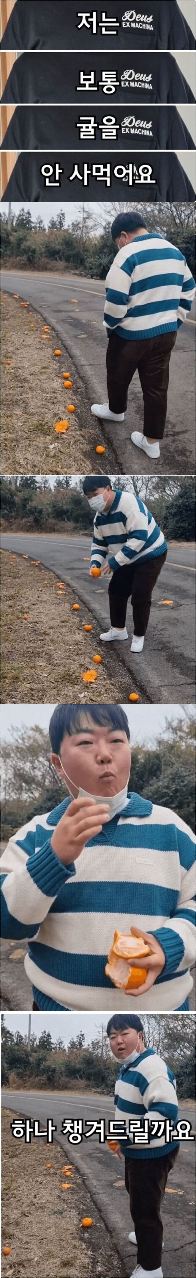 제주도민이 귤을 사먹는다는 의미.jpg