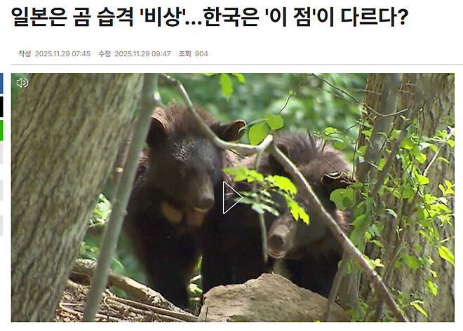 곰과 인간의 접점이 생기면 좋은점이 많나요?