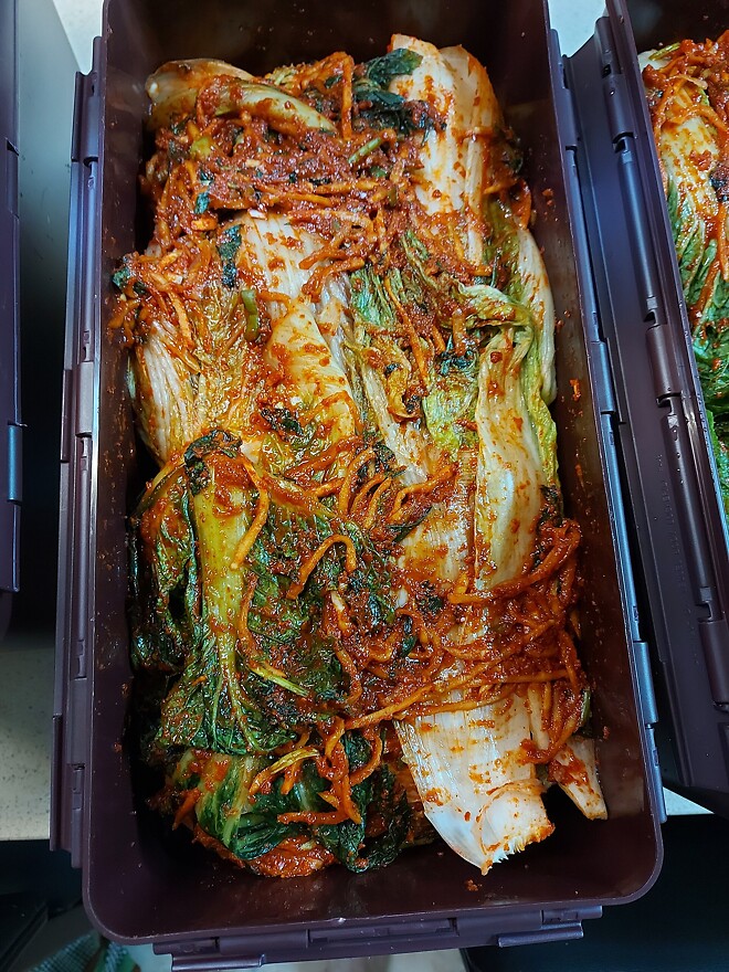 김장 완료! 수육 맛있게 먹겠습니다!(feat 갓김치, 파김치)