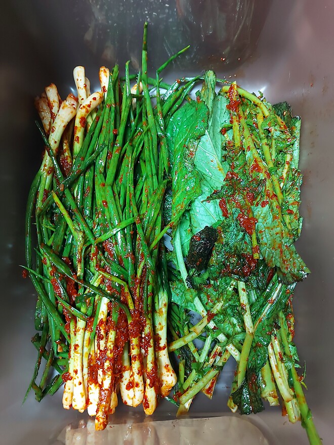 김장 완료! 수육 맛있게 먹겠습니다!(feat 갓김치, 파김치)