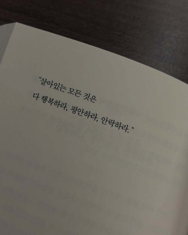아이브 장원영