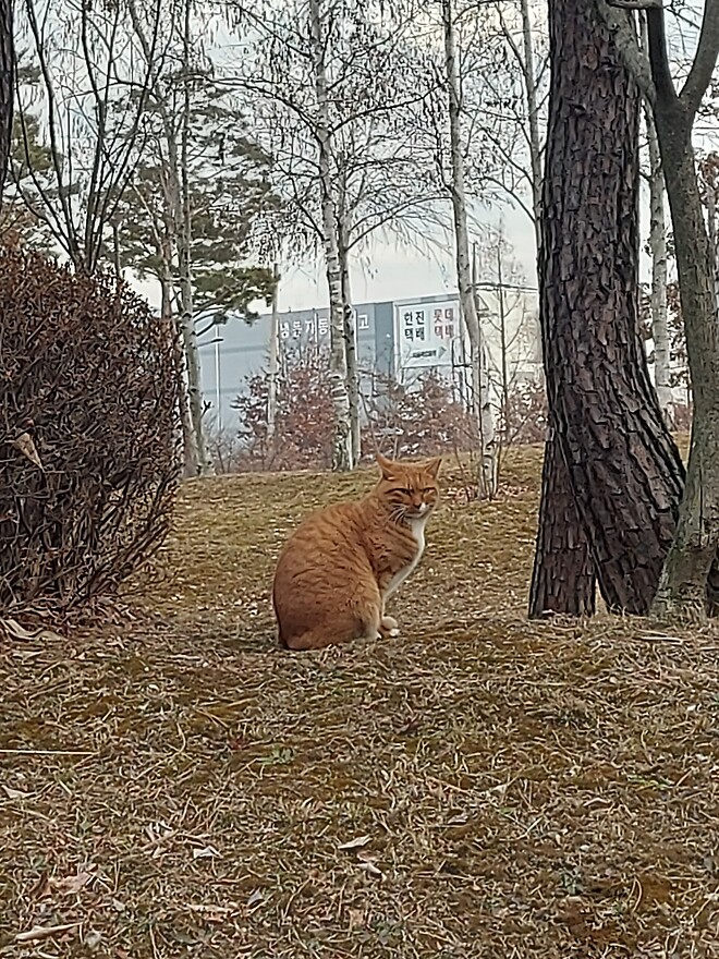 이거 그린라이트인가요?? (사진 유)