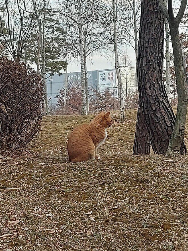 이거 그린라이트인가요?? (사진 유)