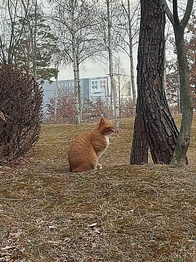 이거 그린라이트인가요?? (사진 유)